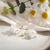 الزهرة البيضاء ذات الزهرة الخضراء الممزَّقة بحفر وأقراط details Picture